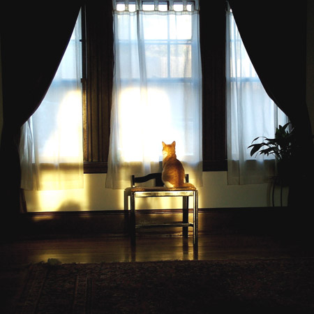 Curious even in the mornings