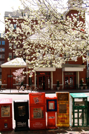Street spring scene