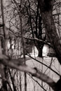 20070227022325
