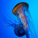 20070304213906