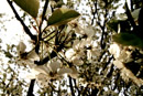 20070426222055_2