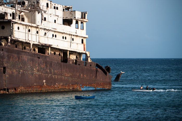 Telamon boarding party