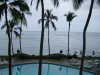 Palm trees over the swimming pool, Hawaii, May 2002