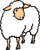 See a  
              large Woolly