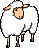 Woolly small
